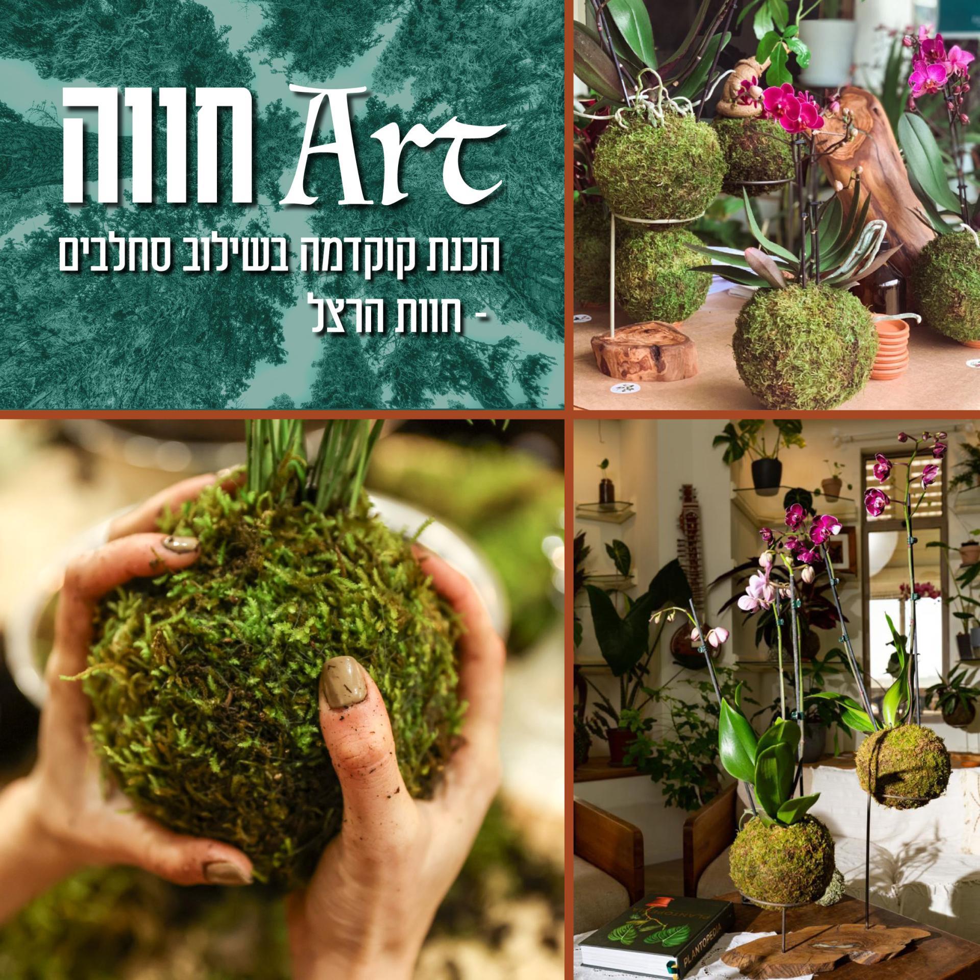 Art חווה - הכנת קוקדמה בשילוב סחלבים
